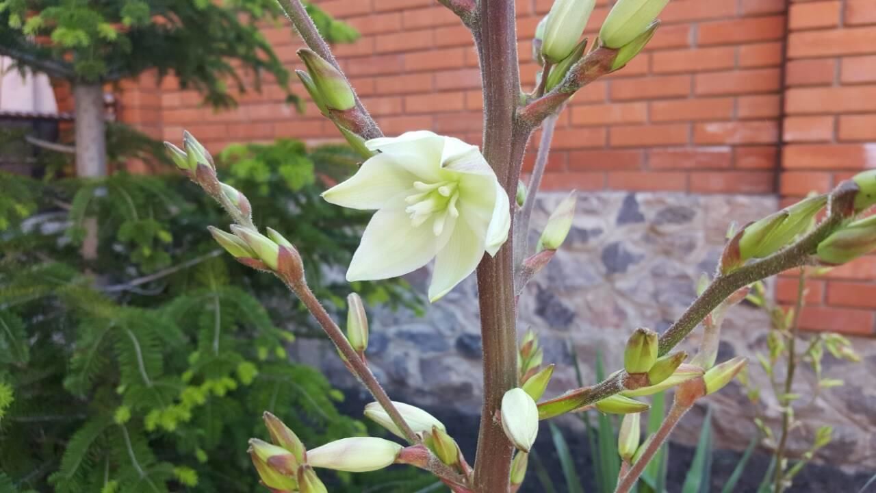 Гостевой дом Guest House NIK Харьков-5