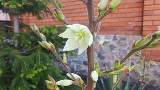 Гостевой дом Guest House NIK Харьков-1